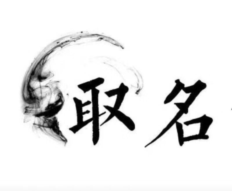  云梦宝宝取名 大师一对一人工起名